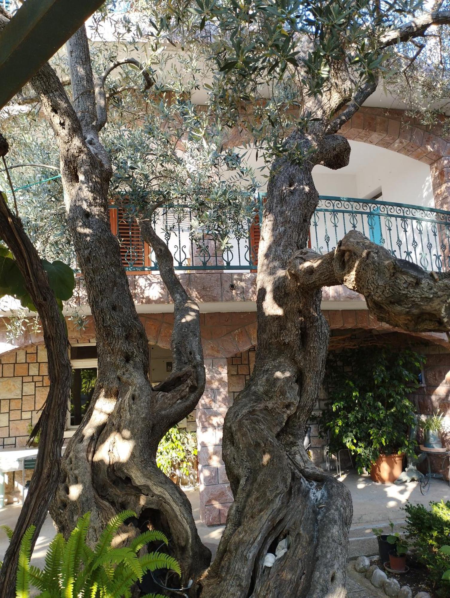 סבטי סטפן Zoro Apartments חדר תמונה