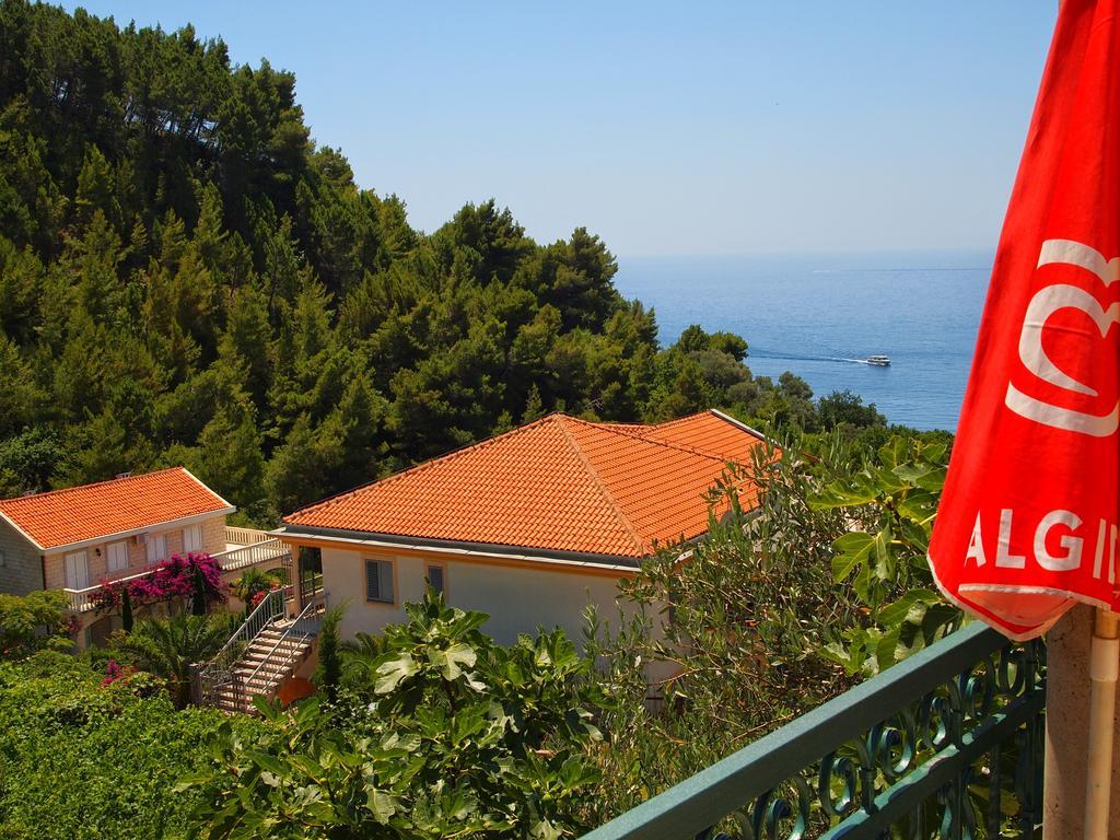 סבטי סטפן Zoro Apartments מראה חיצוני תמונה
