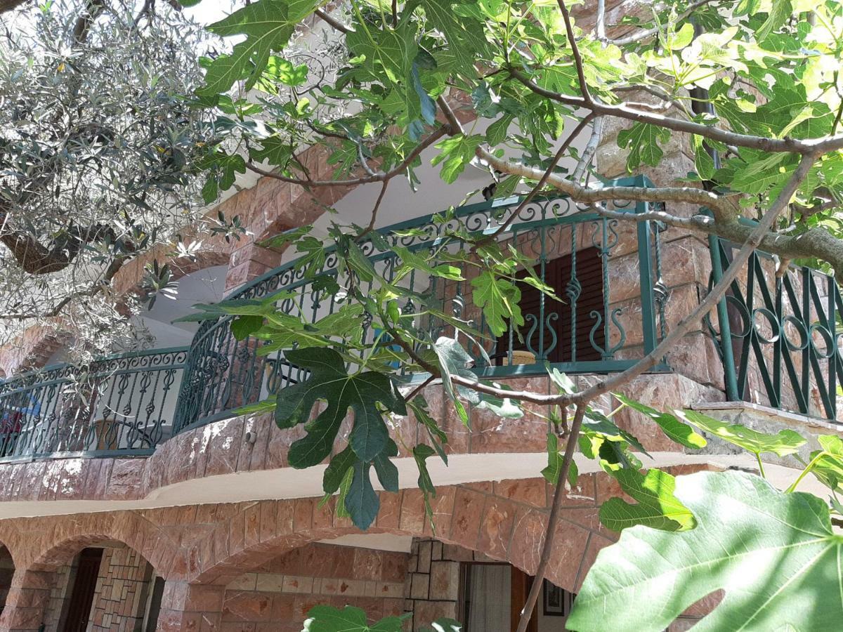סבטי סטפן Zoro Apartments מראה חיצוני תמונה